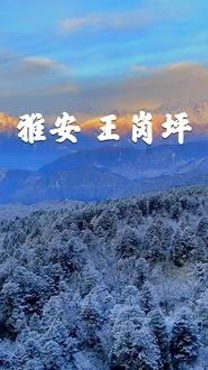 博主:也门U16有全国联赛不限国籍,国少队有球员在安徽踢球